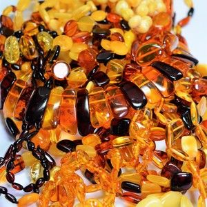 Meet your Posher, Sonja